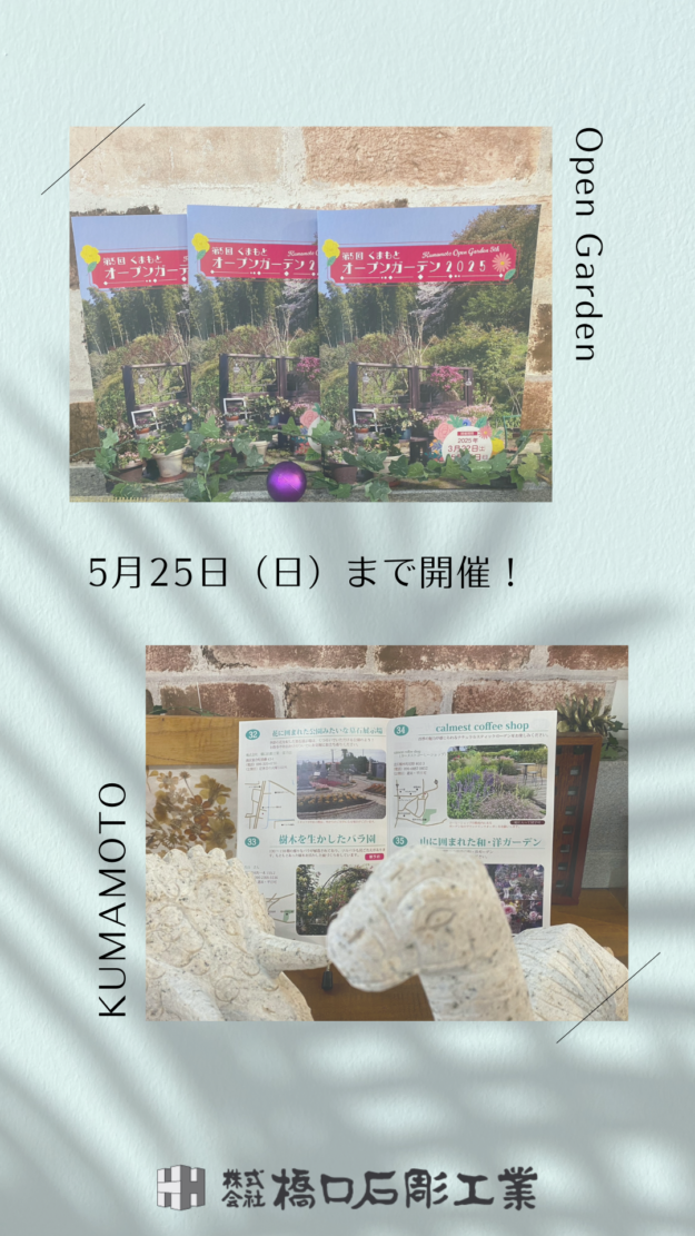 白 ミニマル 写真 花束 Instagramストーリー